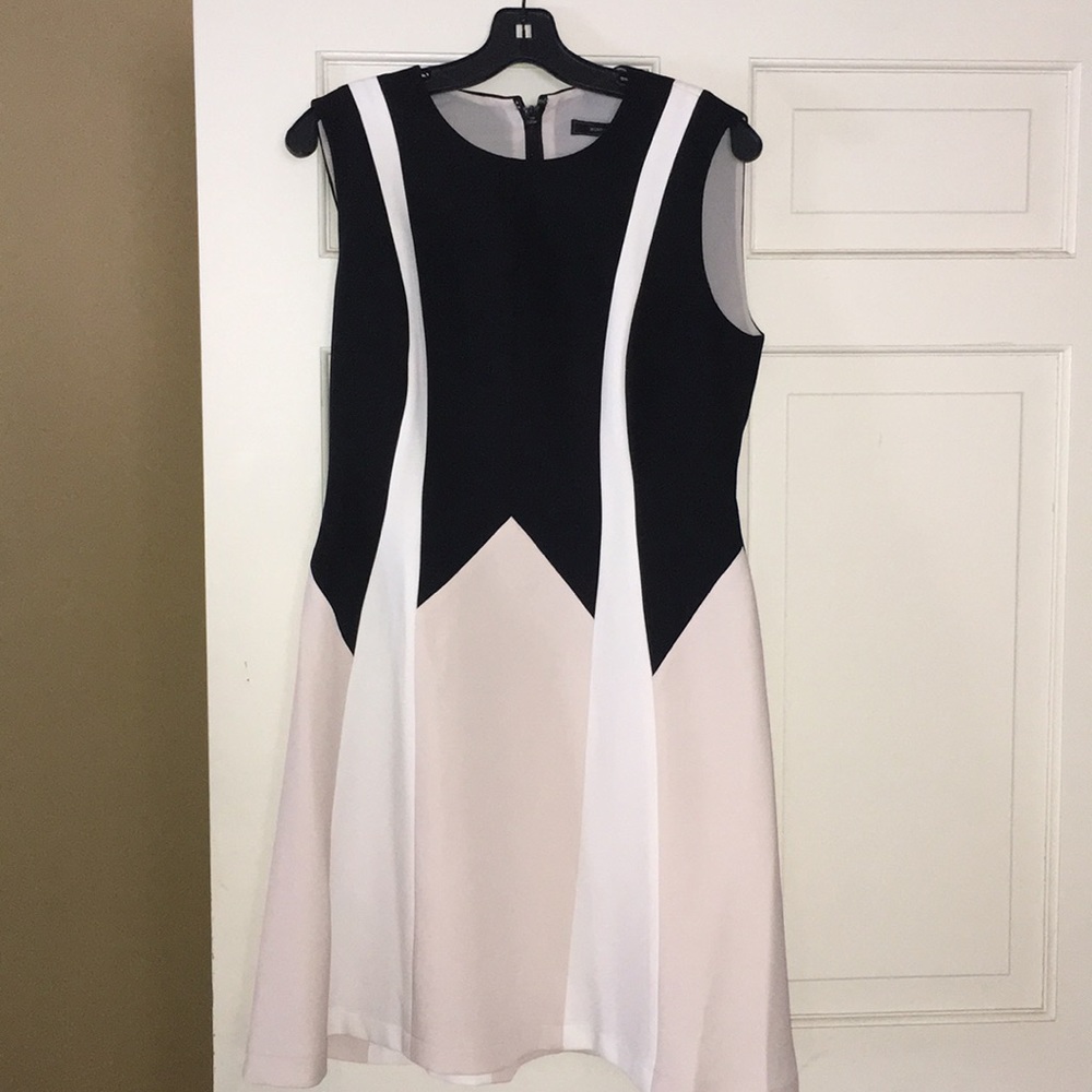 BCBG Dress